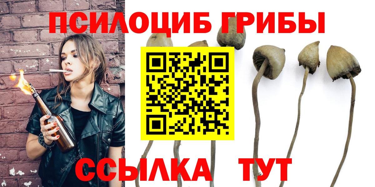 Псилоцибиновые грибы Magic Shrooms Ессентуки