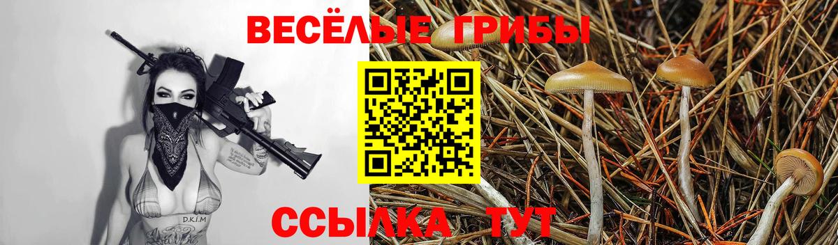 Псилоцибиновые грибы Psilocybe  Вход с VPN  Ессентуки 